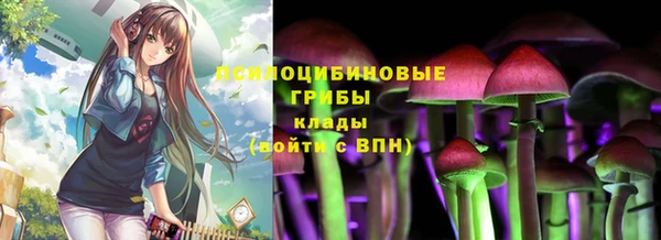 стафф Баксан