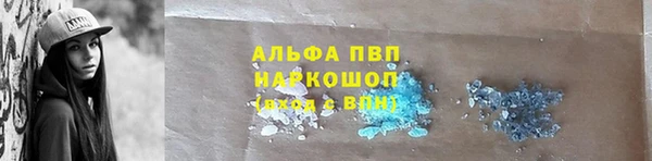 трава Белокуриха