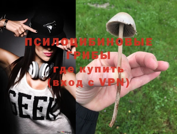 амф Беломорск